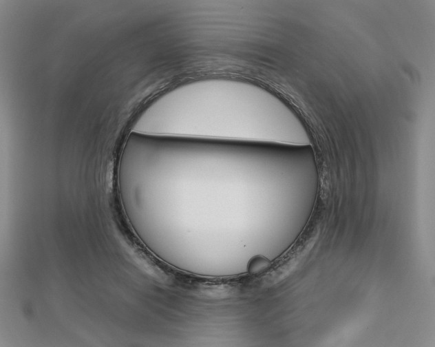 X0000112810454200908210942