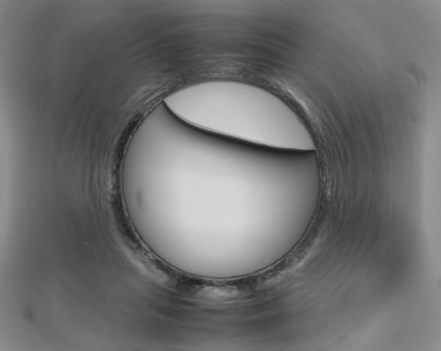 X0000112810455200908210942