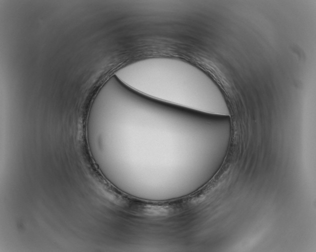 X0000112810457200908210942