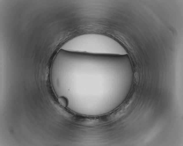 X0000112810458200908210942