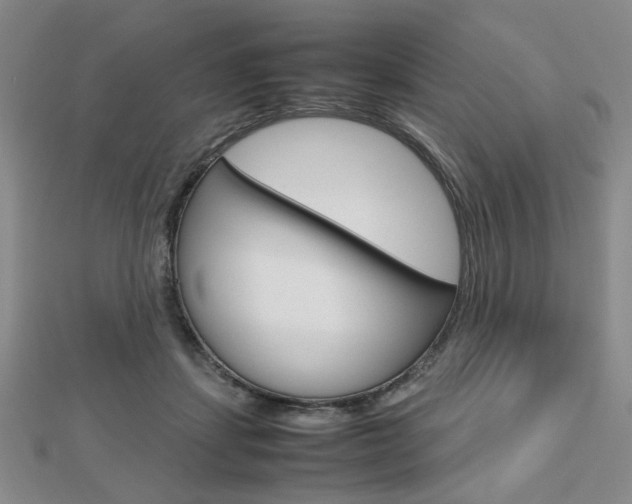 X0000112810459200908210942