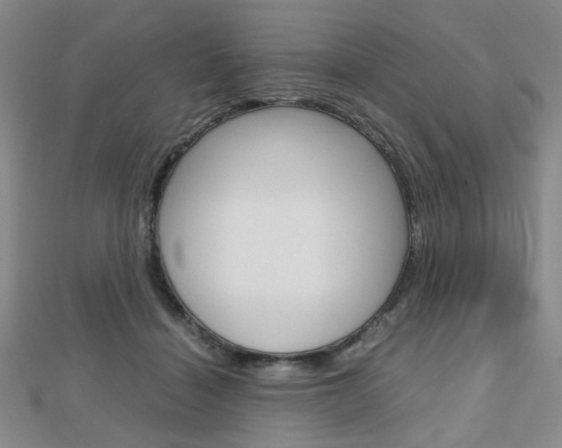 X0000112810460200908210942