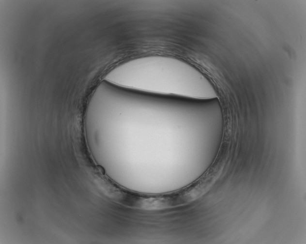 X0000112810461200908210942