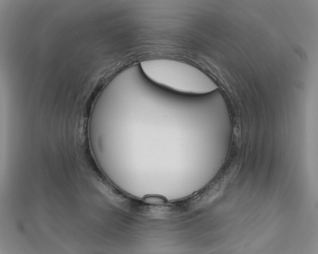 X0000112810462200908210942