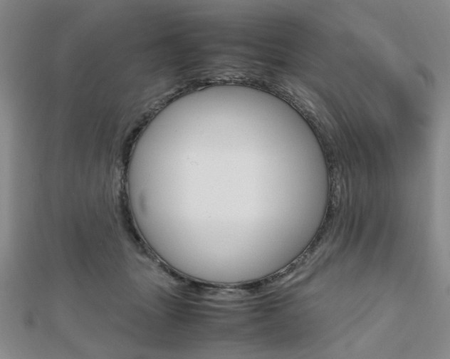 X0000112810463200908210942