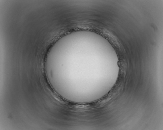 X0000112810465200908210942