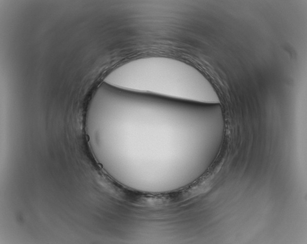 X0000112810466200908210942