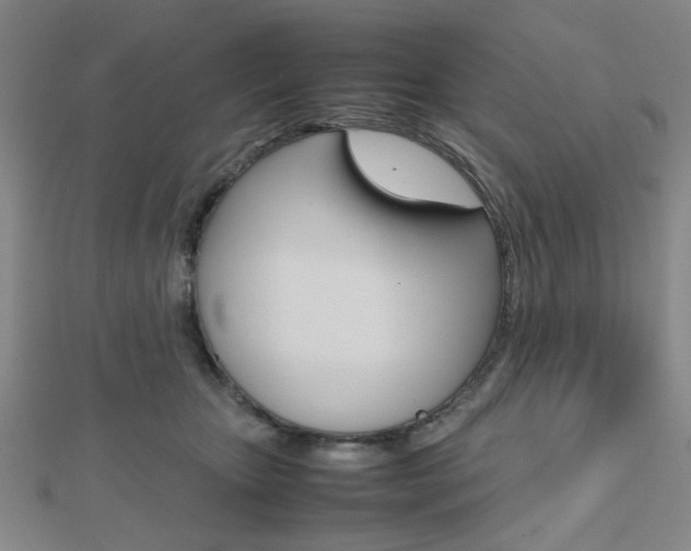 X0000112810467200908210942