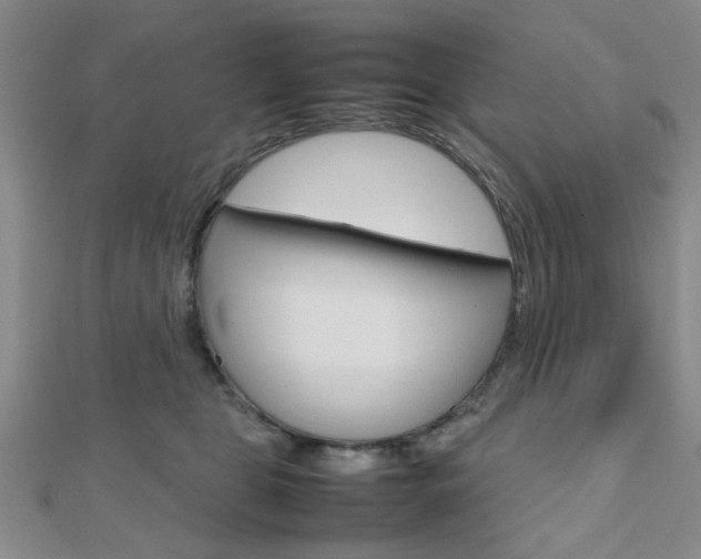 X0000112810469200908210942
