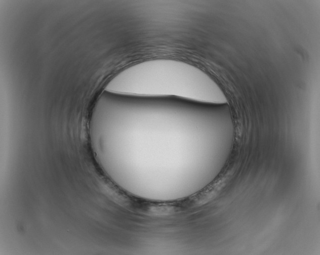 X0000112810470200908210942