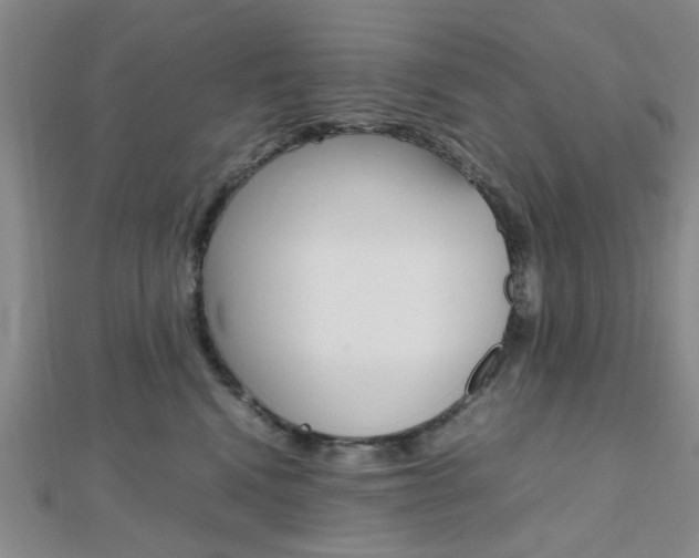 X0000112810472200908210942