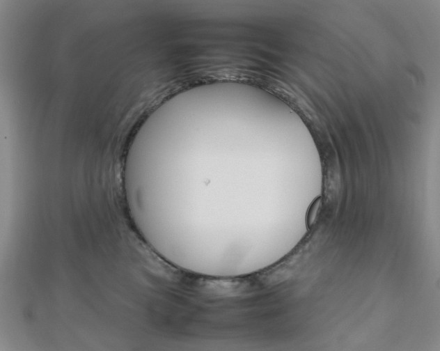 X0000112810473200908210942
