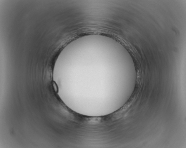 X0000112810474200908210942