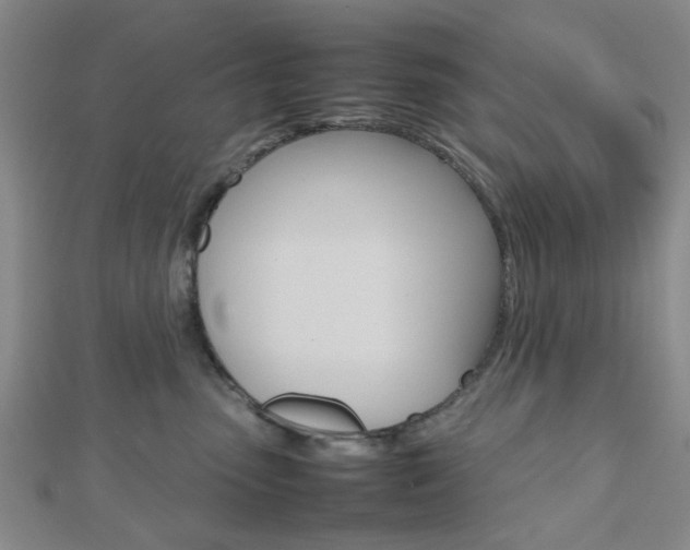 X0000112810475200908210942
