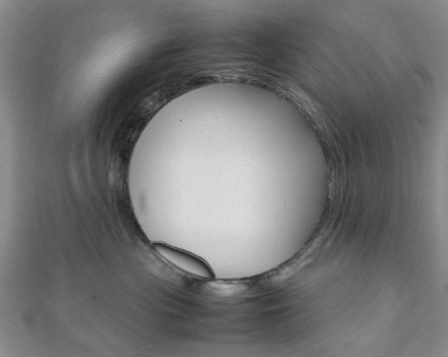 X0000112810477200908210942
