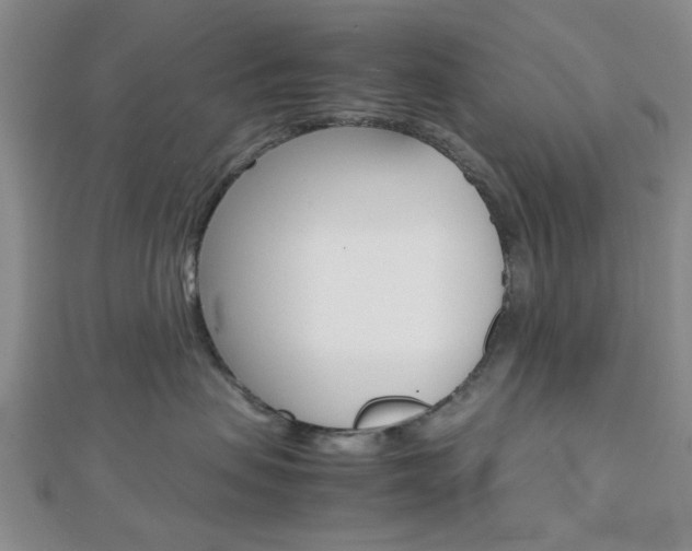 X0000112810479200908210942