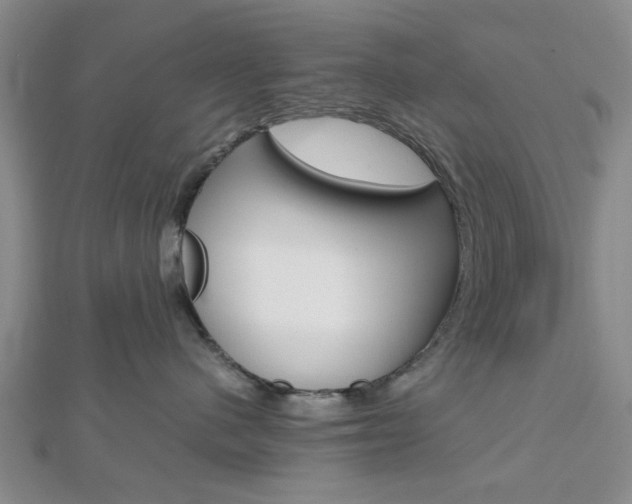 X0000112810480200908210942