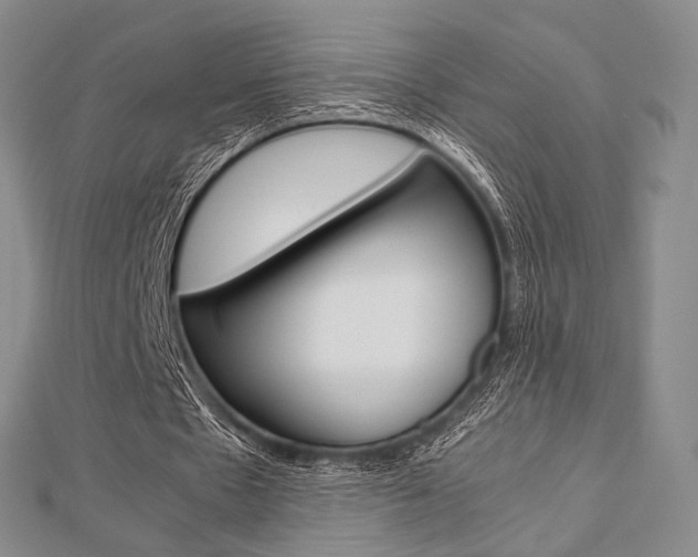 X0000112810481200908210941