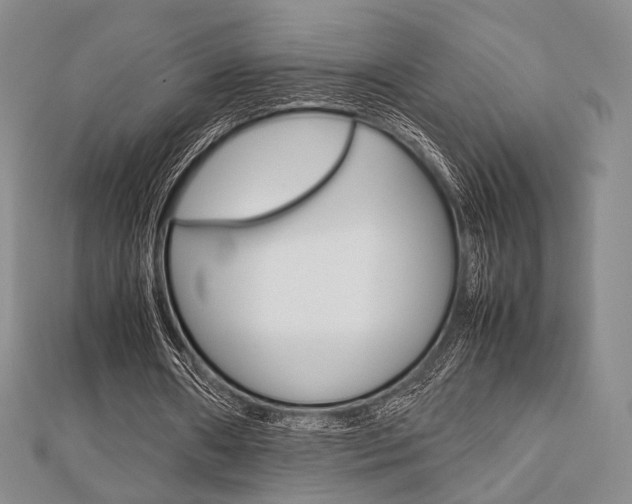 X0000112810482200908210941
