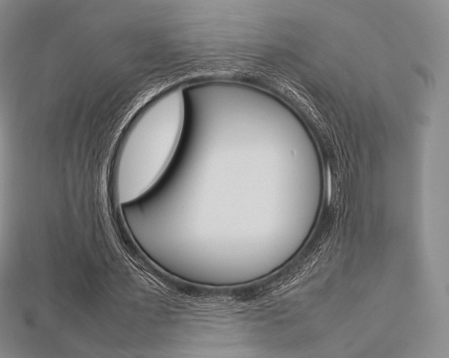 X0000112810483200908210941