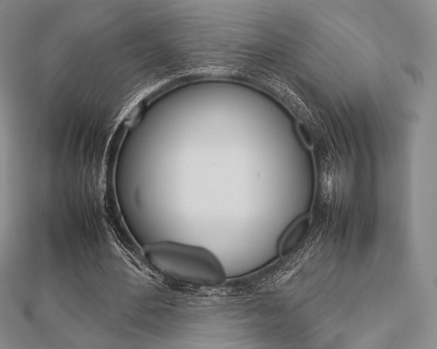 X0000112810484200908210941