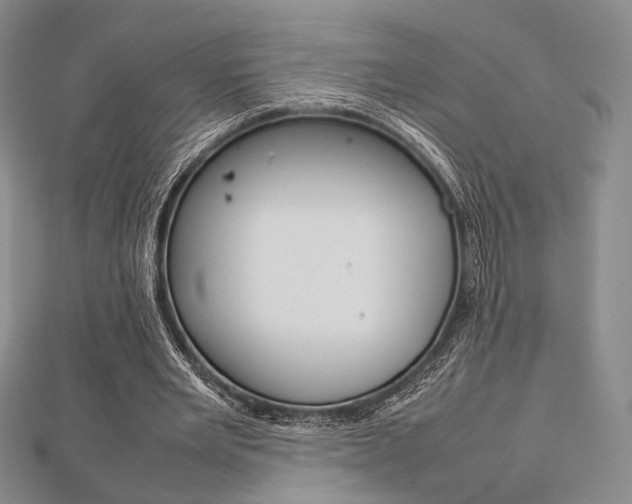 X0000112810485200908210941