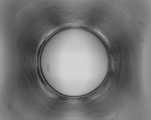 X0000112810486200908210941