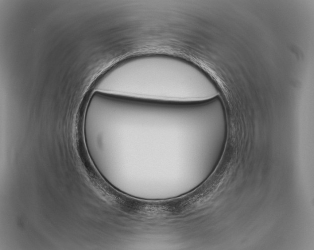 X0000112810487200908210941