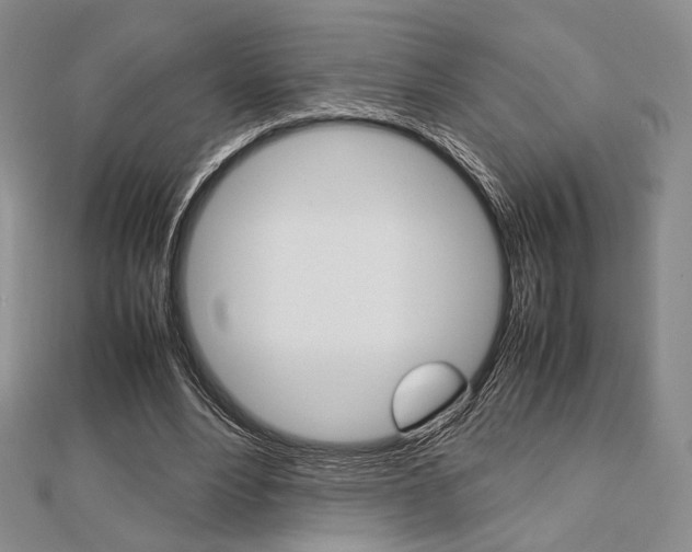 X0000112810488200908210941