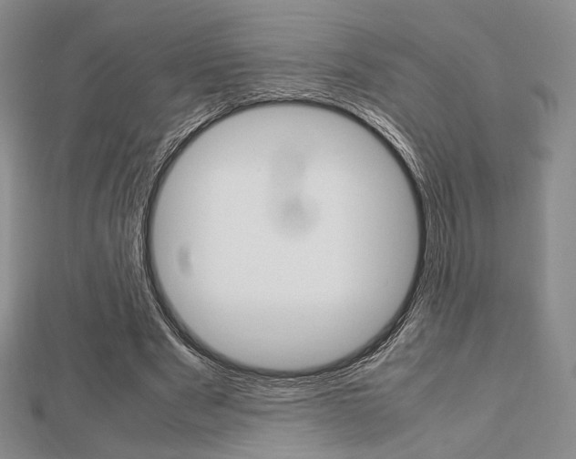 X0000112810489200908210941