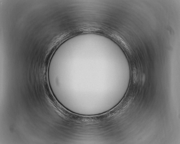 X0000112810490200908210941