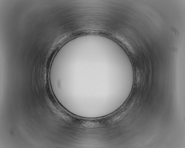 X0000112810494200908210941
