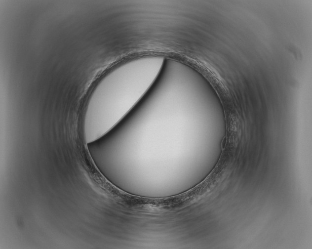 X0000112810496200908210941