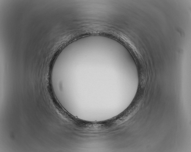 X0000112810497200908210941