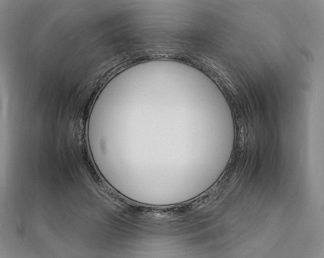 X0000112810498200908210941