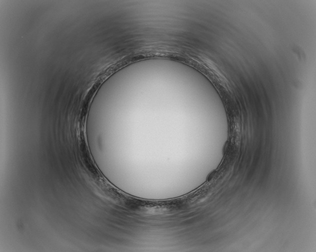X0000112810500200908210941