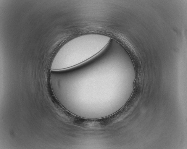 X0000112810501200908210941