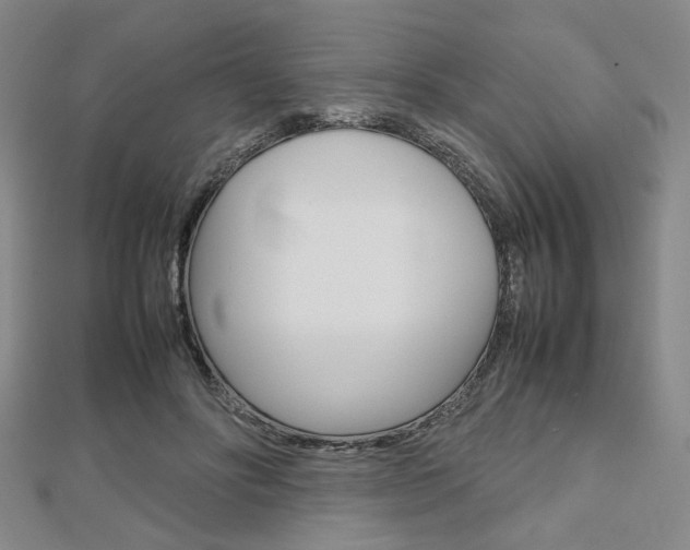 X0000112810502200908210941