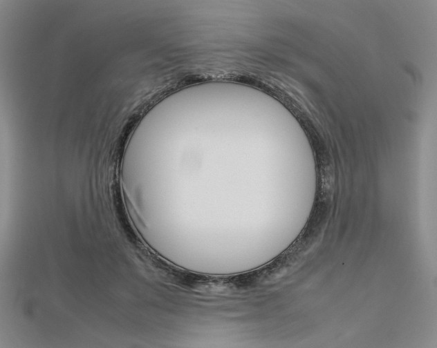 X0000112810503200908210941