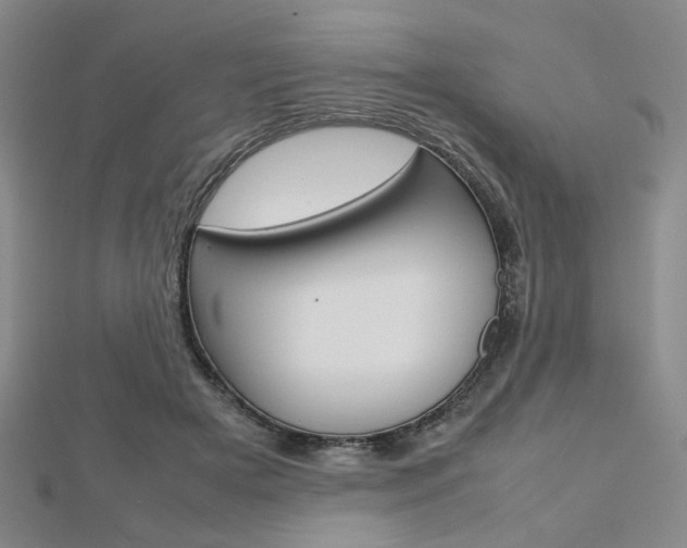X0000112810505200908210941