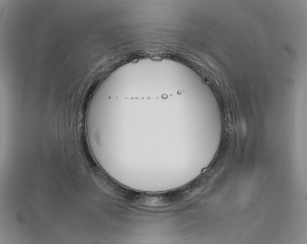 X0000112810507200908210941