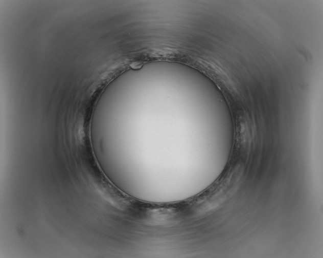 X0000112810508200908210941