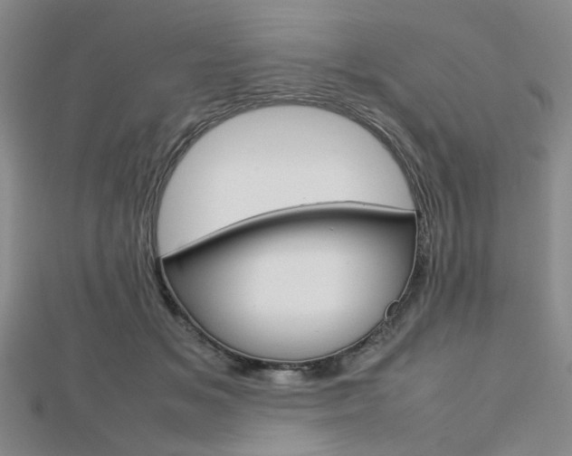 X0000112810509200908210941