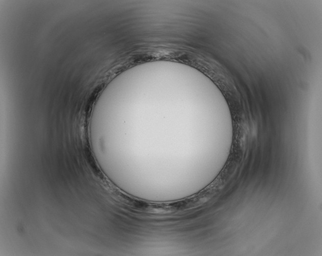 X0000112810510200908210941