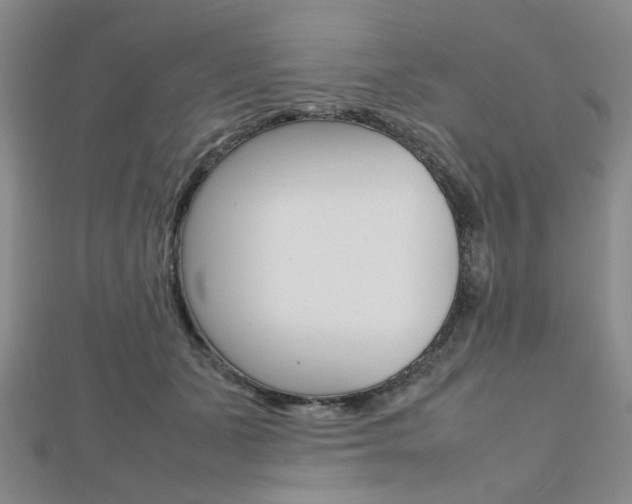 X0000112810511200908210941