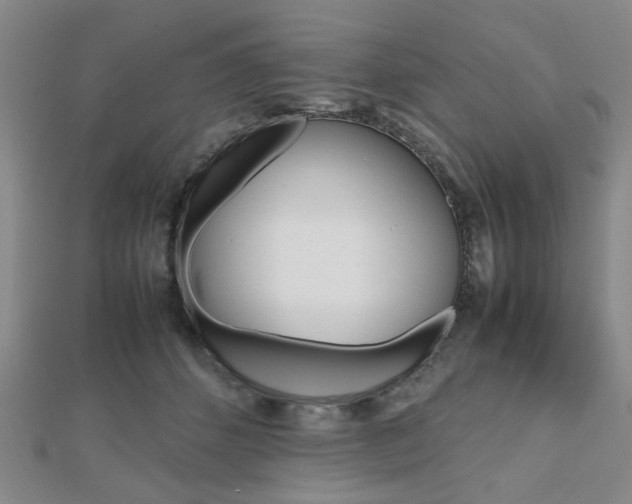 X0000112810512200908210941