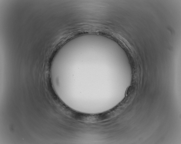 X0000112810513200908210941