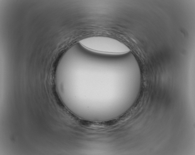 X0000112810515200908210941