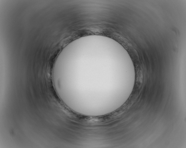 X0000112810518200908210941