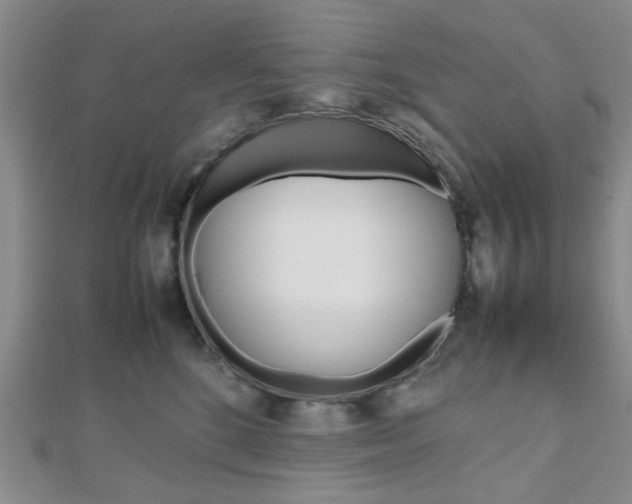 X0000112810520200908210941